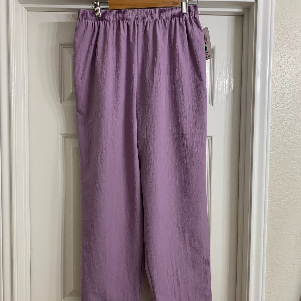 BonWorth Brand Women's Dark Mauve Casual Pants, Size L, NWT - Picture 2 of 4
